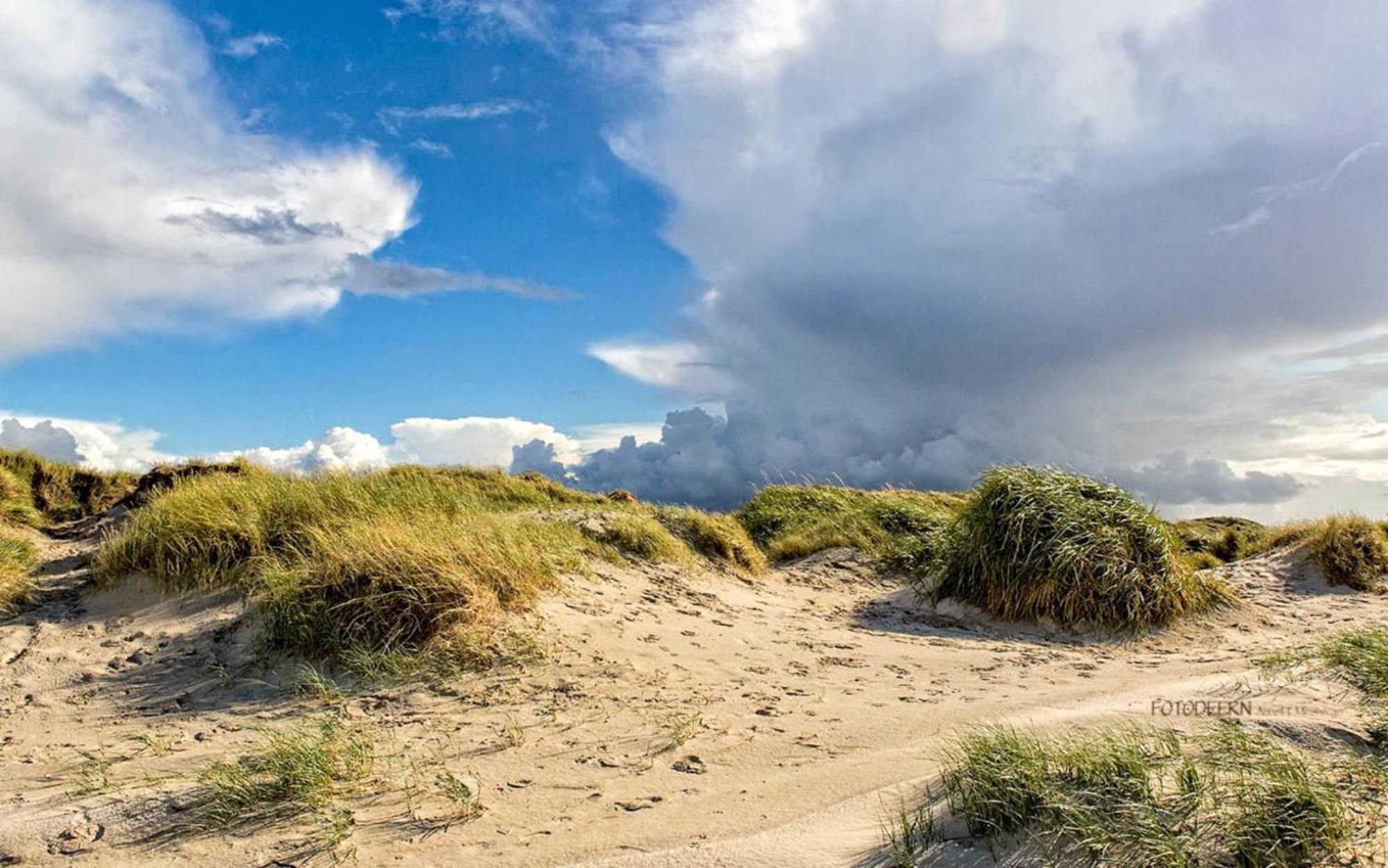 Strandmatte Sankt Peter-Ording Luaran gambar